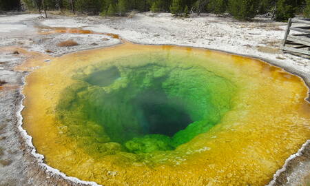 Morning Glory Pool Yellowstone