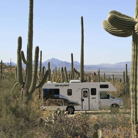 Camper in Saguaro National Park