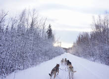 Fairbanks