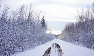 Fairbanks