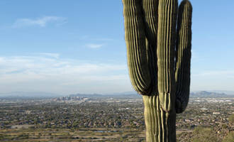 Bezienswaardigheden Phoenix, Arizona - Tioga Tours