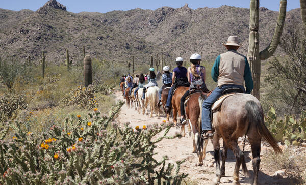 Paardrijden, Sonoran Desert, Scottsdale