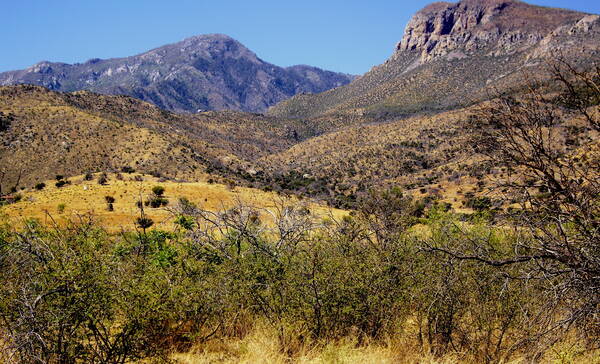 Coronado National Forest, Arizona