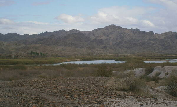 Picacho State Recreation Area Arizona