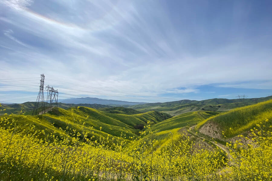 Chino Hills State Park, Los Angeles