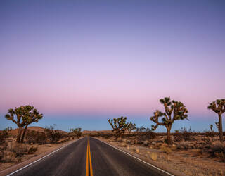Mojave Desert, Joshua Tree National Park