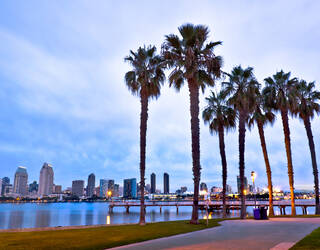 San Diego skyline met palmbomen