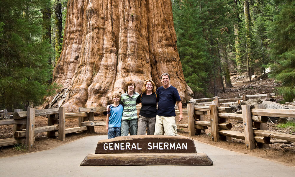 Sequoia National Park, familie bij General Sherman Tree