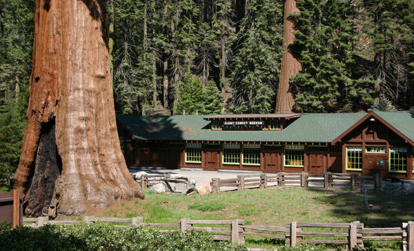 Giant Forest Museum in Sequoia National Park