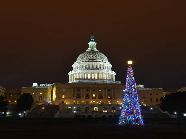 Washington DC Christmas Tree