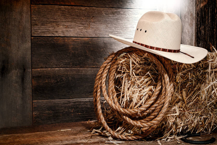 Rodeo