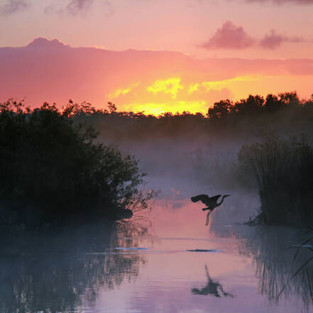bezienswaardigheen Everglades National Park
