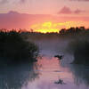 bezienswaardigheen Everglades National Park