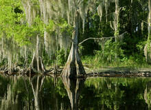 Everglades kajak
