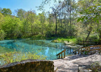 Ichetucknee Springs