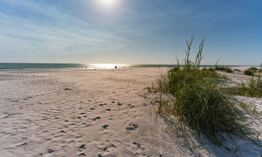 Sarasota Sarasota