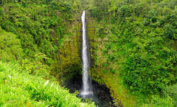 Akaka Falls bij Hilo