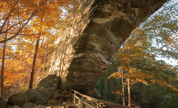 Daniel Boone National Forest, Kentucky