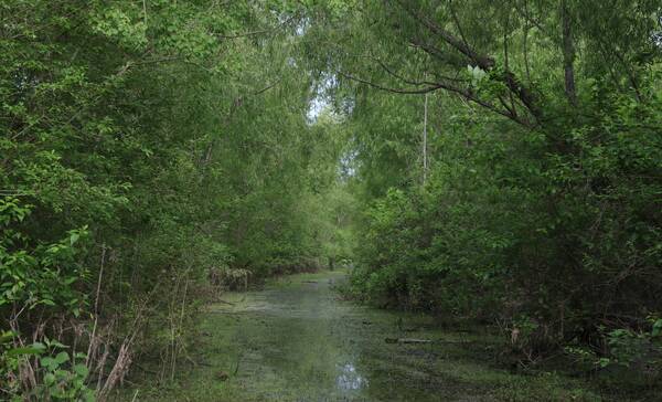 Red River National Wildlife Refuge