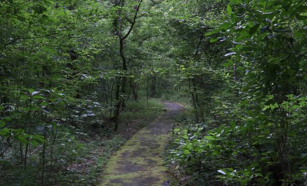 Walter B. Jacobs Memorial Nature Park