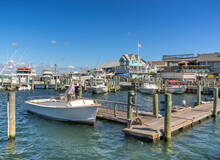 Martha's Vineyard shared Island Tour