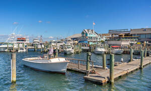 Martha's Vineyard shared Island Tour