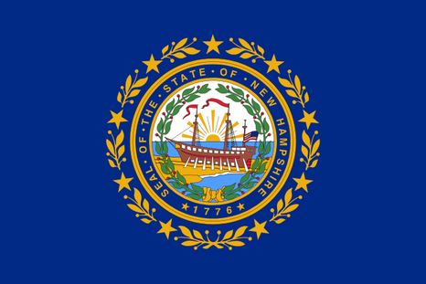 Vlag New Hampshire