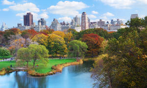 Fietstocht door Central Park New York