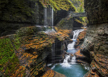 Watkins Glen, New York
