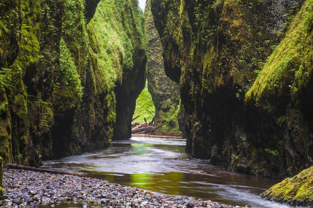 Bezienswaardigheden Portland Oregon Tioga Tours Bezienswaardigheden Portland Oregon Tioga Tours