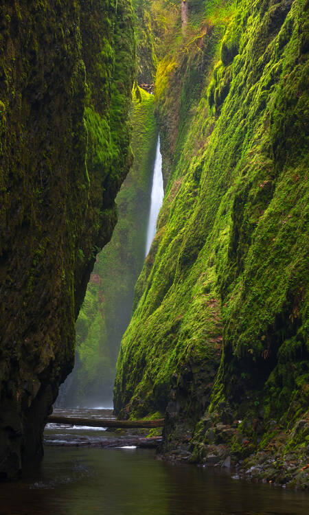 De Oneonta Gorge in Oregon
