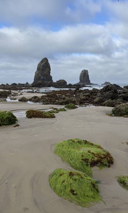 Grote rots voor de Oregon Coast