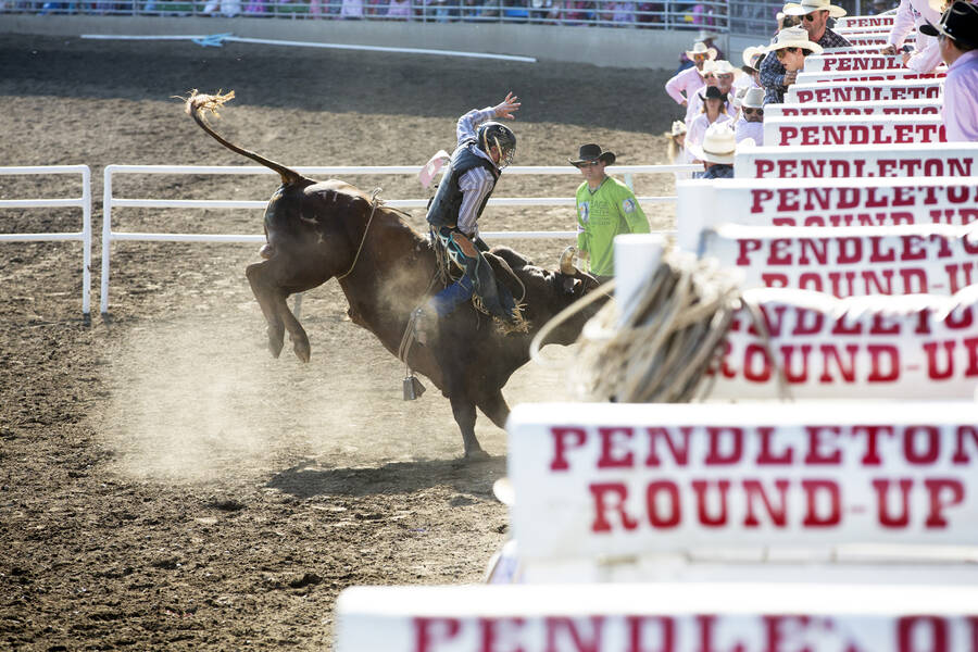 Pendleton rodeo