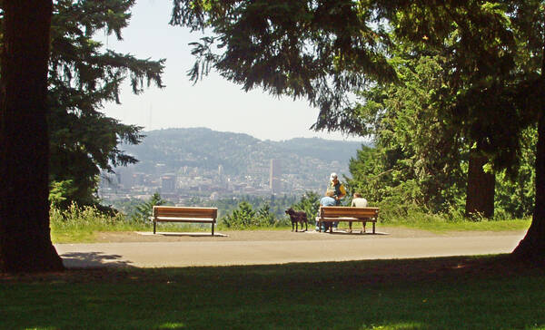 Portland Mount Tabor Park