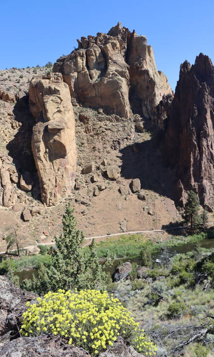 La Pine buggytocht lavavelden Oregon
