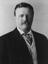 Theodore Roosevelt, 26e president van de VS