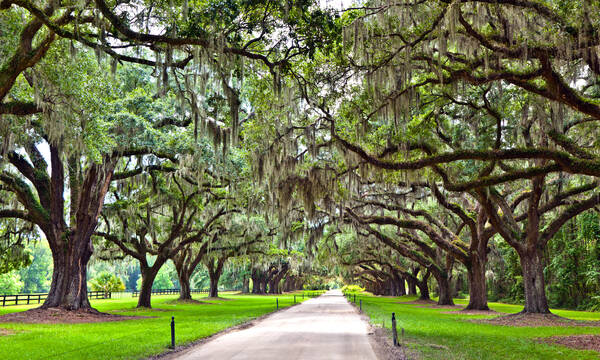 Boone Hall Plantation in Charleston South Carolina