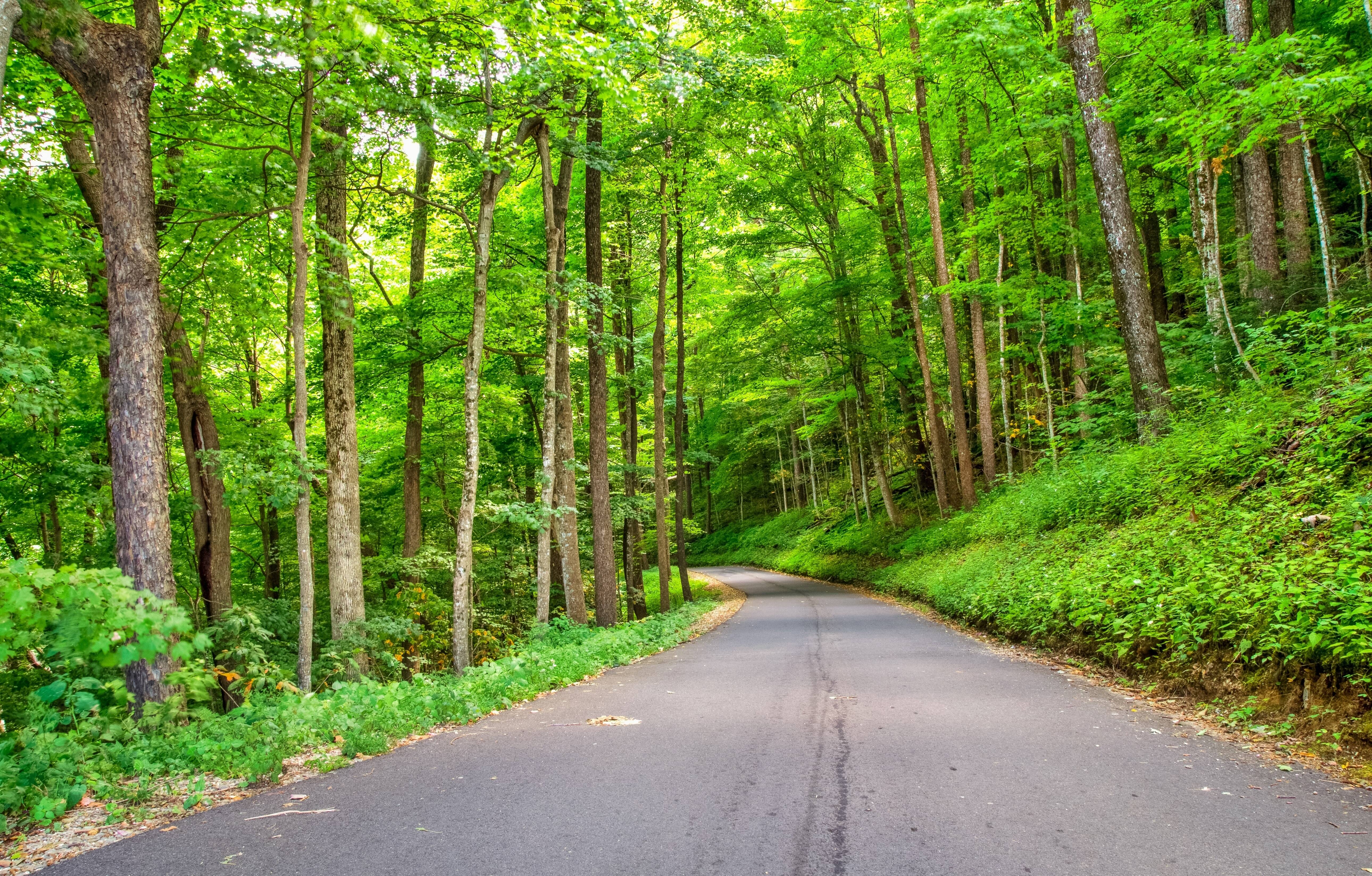 Roaring fork trail, Great Smoky Mountains