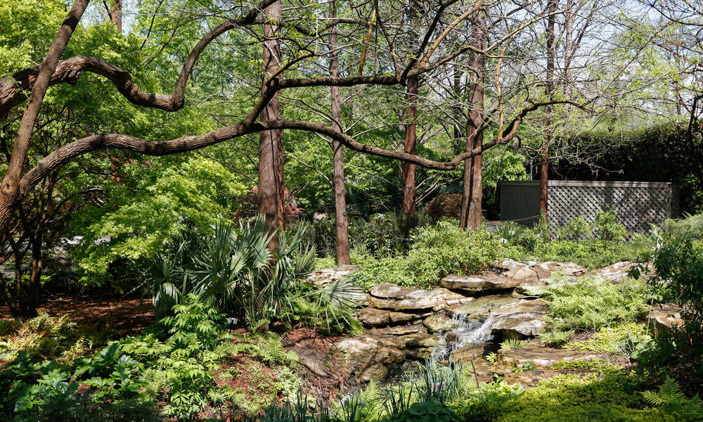Arboretum & Botanical Gardens, Dallas Arboretum & Botanical Gardens, Dallas