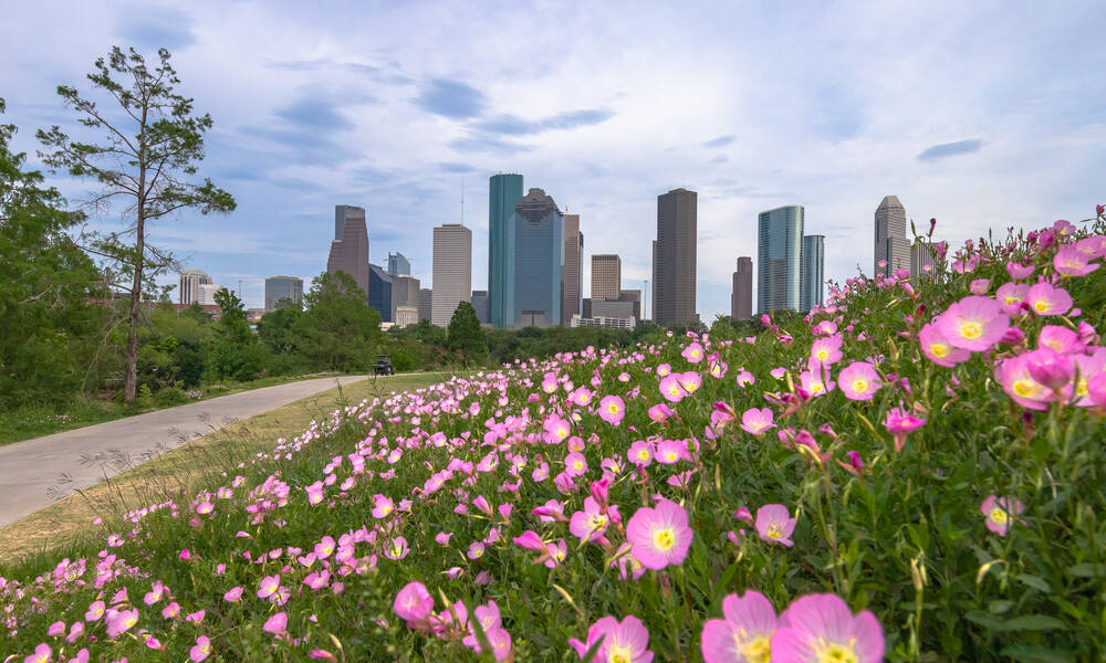 Houston