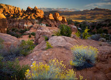 Fiery Furnace Tour in Arches