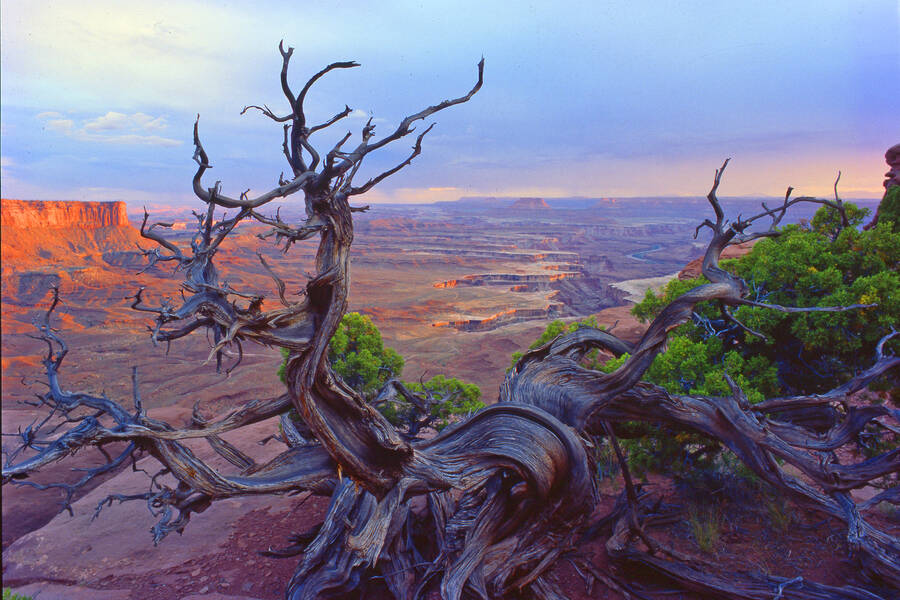 Canyonlands Island in the Sky