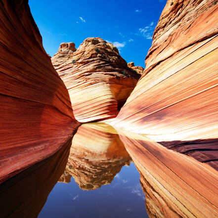 Vermilion Cliffs National Monument, the Wave in Coyote Buttes North