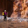 Zion, The Narrows