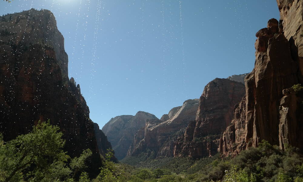 Weeping Rock, Zion National Park