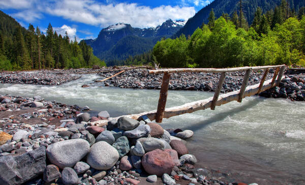 Mount Rainier Carbon River
