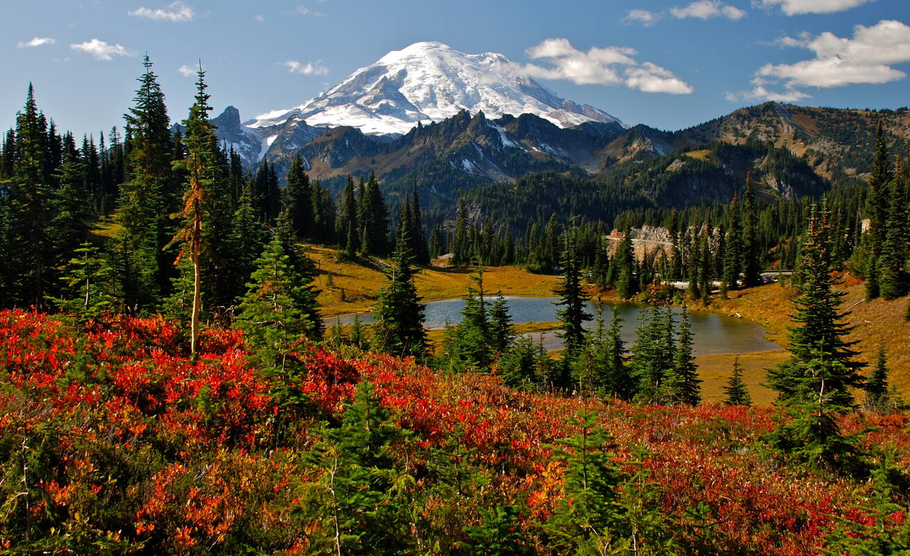 Natural Beauty, Mount Rainier National Park, Washington без смс