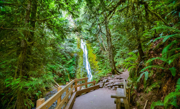 Elwha Madison Falls, Olympic National Park Washington