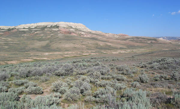 Fossil Butte NM Wyoming