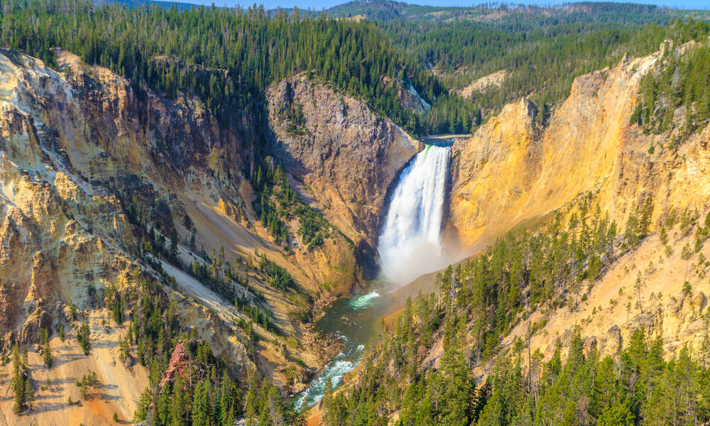 Grand Canyon in Yellowstone National Park